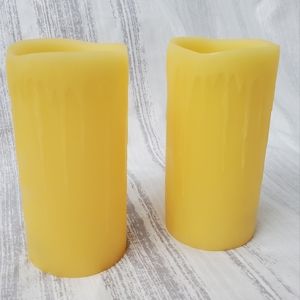 Set of 2 PolyBees Wax Candle Covers *
